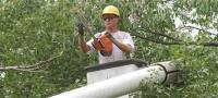 Experienced Tree Service LLC image 1